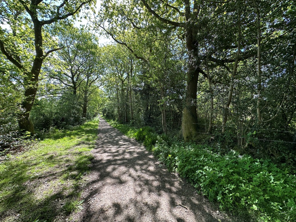 Lot: 80 - 0.42 ACRES OF FREEHOLD LAND IN HADLOW DOWN - Plots 5, 6 & 7 are located to the right hand side